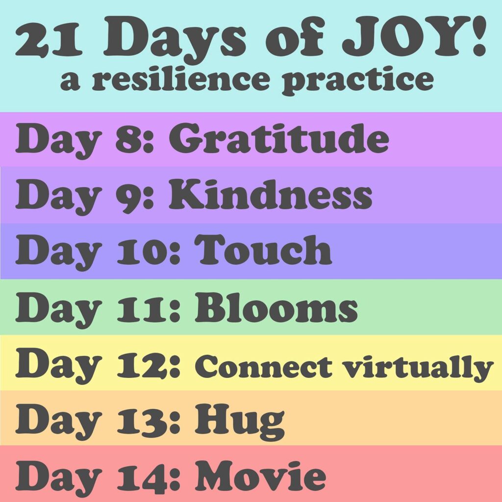 Day 8 to Day 14 of Joymonger, Gratitude, Kindness, touch, Blooms, connect virtually, hug and movie